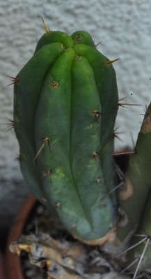 DSC_0075.JPG