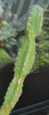 DSC_0074.JPG