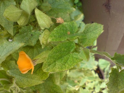 DSC00183.jpg
