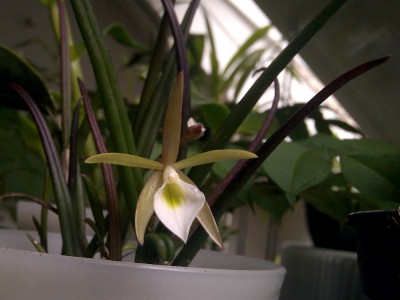 IMAG0629.jpg