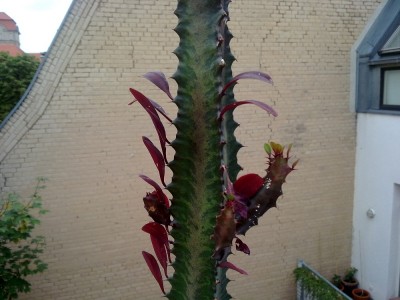 03082010230.jpg