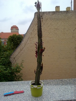 03082010229.jpg
