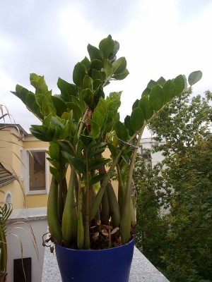 03082010227.jpg