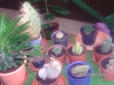 BILD0408.JPG