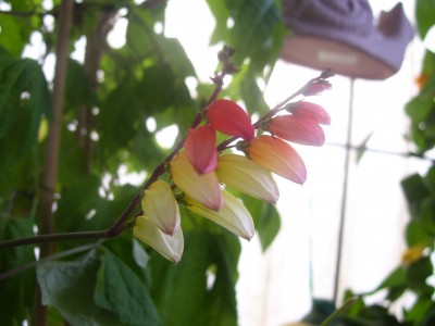 schööööön 147.jpg