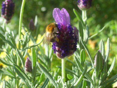 schööööön 140.jpg