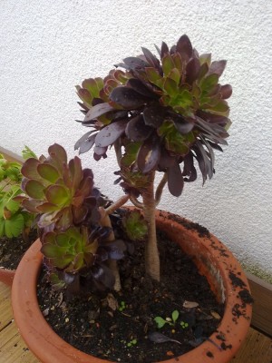 03082010236.jpg