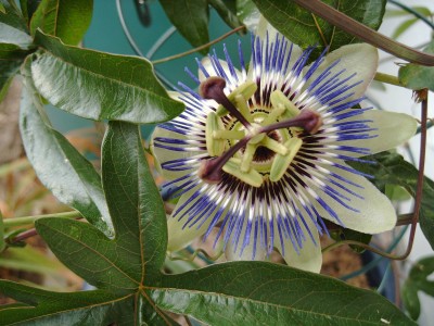 Passi_0999.jpg