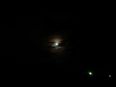 101D0170.JPG