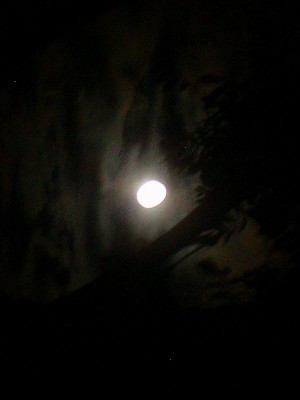 101D0168.JPG