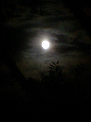 101D0167.JPG