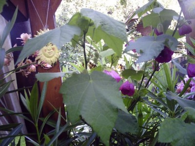 PICT0029.jpg