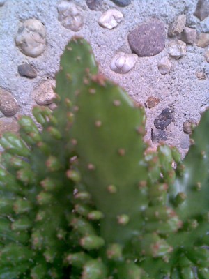 Bild009.jpg
