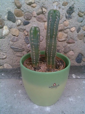 Bild011.jpg