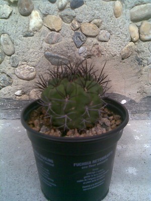 Bild006.jpg