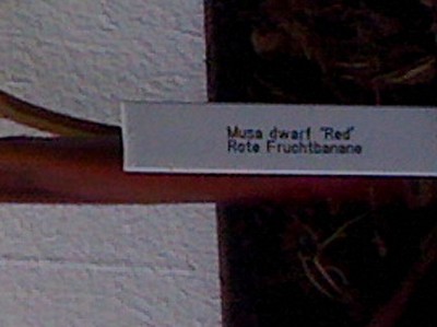 schild.jpg