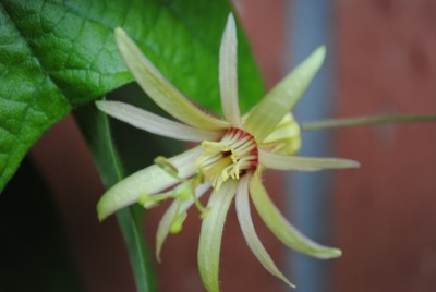DSC_0110.JPG