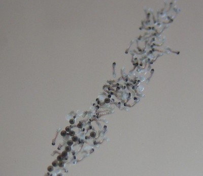 20100808_0001.JPG