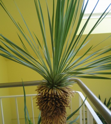 20100808_0001_3.JPG