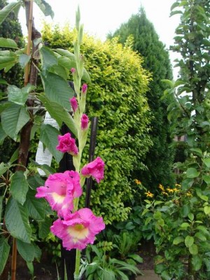 Meine Bilder 1253a.jpg