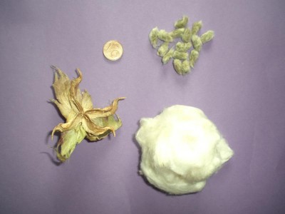 09082010-1.JPG