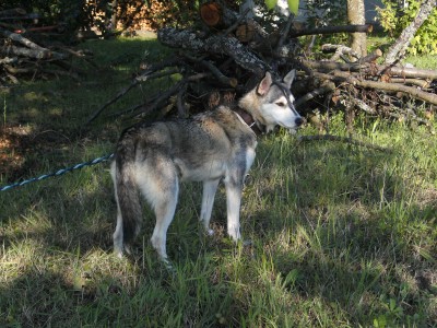BILD2010.JPG