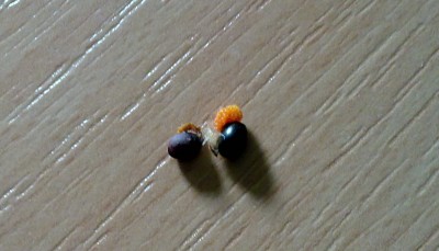 10082010293.jpg