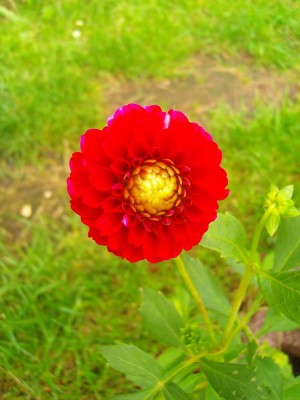 100D0280.JPG