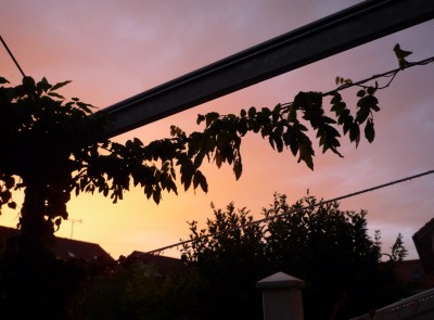 Sonnenuntergang1.JPG