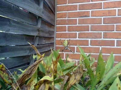 08082010859_2.jpg