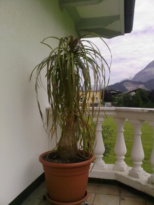 Foto-0249 [640x480].jpg