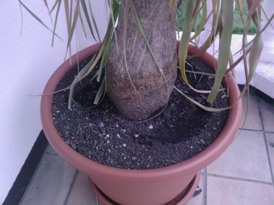 Foto-0248 [640x480].jpg