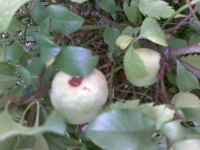 Bild248.jpg