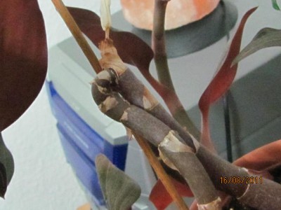 Bild 056.jpg