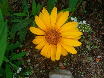 100D0457.JPG