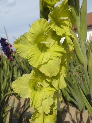 BILD0553.JPG