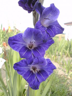 BILD0539.JPG