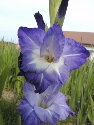 BILD0543.JPG