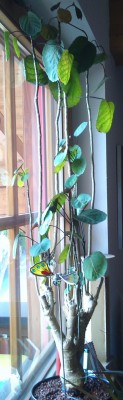 DSC00058.JPG