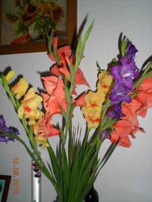 Gladiolen.jpg