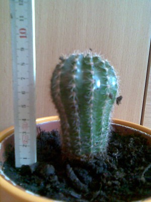 Bild028.jpg