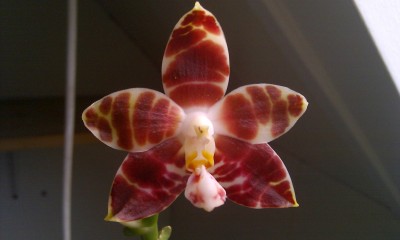 IMAG0719.jpg