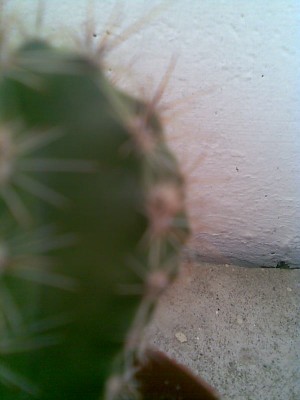 Bild003.jpg
