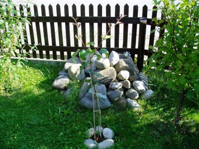 Nashi_20.08.2010.JPG