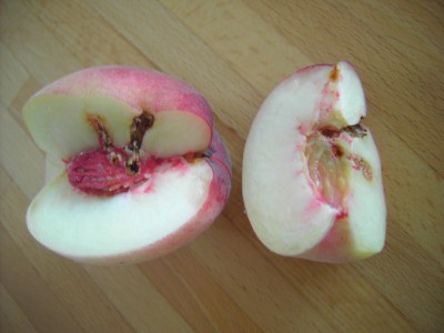 PICT6036.JPG