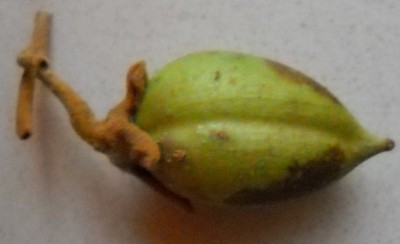 DSCN1238.JPG