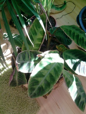P240810_14.58.jpg