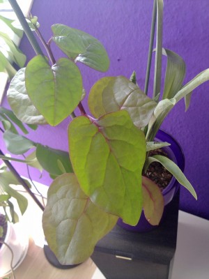 24082010330.jpg