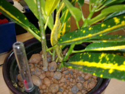23082010431.jpg