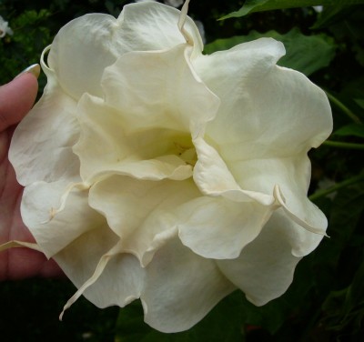 Bilder von Kamera 262.jpg